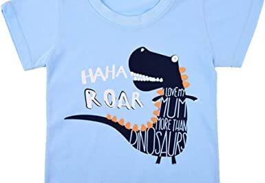 Camiseta bara bebe