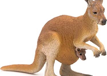 Canguro bebe